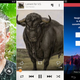 Illustration for article titled Our Favorite Android, iOS, and Windows Phone Apps of the Week